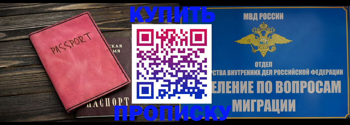 прописка поиск в Бердске